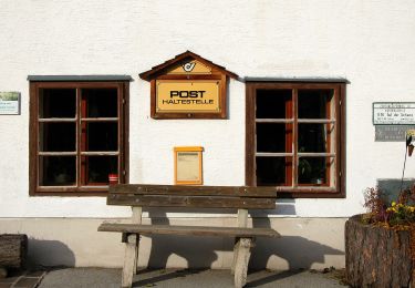 Tour Zu Fuß Fischbach - Teufelsteinrunde - Photo