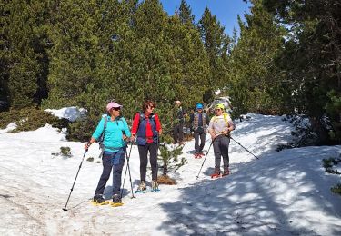 Trail Snowshoes Chamrousse - achard SN - Photo