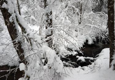 Randonnée Raquettes à neige Basse-sur-le-Rupt - 20210102_raq_Planois_Chalet-des-Charmes - Photo