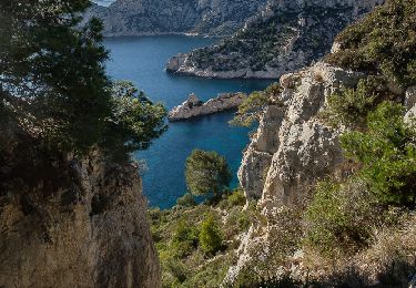 Trail Walking Marseille - Balcon torpilleur  - Photo