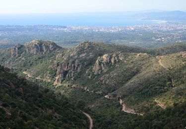 Trail Walking Fréjus - Pk MF du Malpey - Piste des Malavalettes par Carrefour Roche Noire - Photo