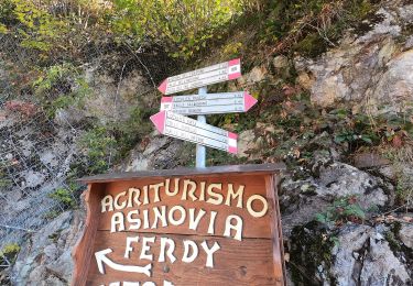 Trail On foot Valtorta - IT-106 - Photo