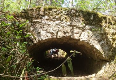 Randonnée Marche Milly-la-Forêt - 190501 - Photo