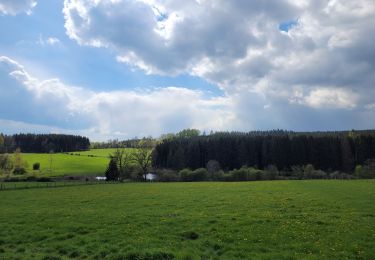 Tour Wandern Hohenfels - rando wibrin 22-04-2024 - Photo
