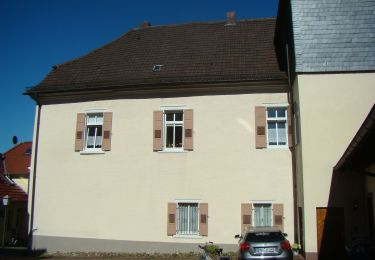 Tour Zu Fuß Mosbach - Rundwanderweg Mosbach 1: Panoramaweg Neckarburken - Photo