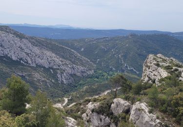 Tour Wandern Gémenos - Col de l'Espigoulier  - Photo
