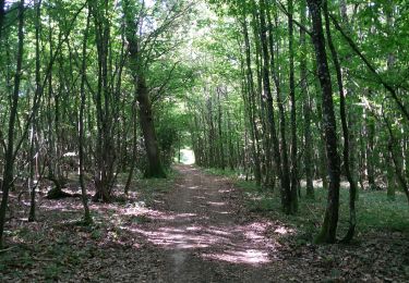 Trail Walking Bouilly - Bucey 19 Juillet 2022 - Photo