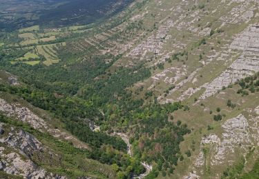 Trail Walking Berberana - Mirador de nervion - Photo