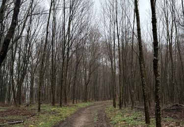 Tocht Noords wandelen Habscht - Grillplaz - Photo