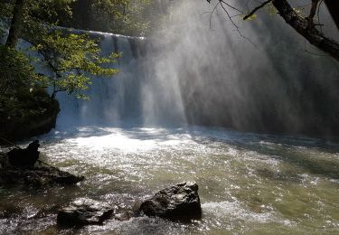 Tour Wandern Sainte-Eulalie-en-Royans - les cascades - Photo