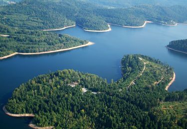 Tocht Paardrijden Saint-Maurice-aux-Forges - Projet Equestre Comcom lac Pierre Percée - Photo