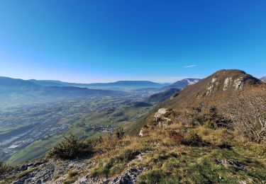 Trail Walking La Thuile - la savoyarde  - Photo