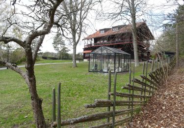 Tour Zu Fuß  - Tegelhagsskogen runt - Photo