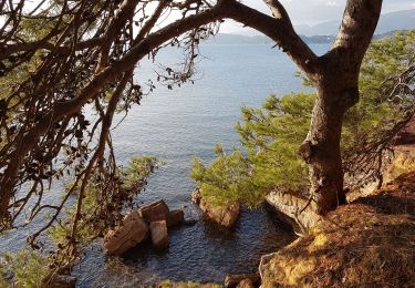 Tocht Stappen Le Pradet - rando confinée 2 - Photo