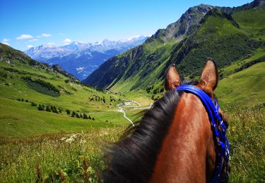 Trail Horseback riding Hauteluce - BEAUFORTAIN - Photo