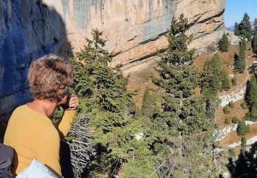 Tour Wandern Sainte-Marie-du-Mont - Belles Ombres tour - Photo