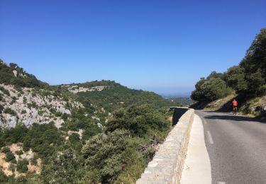 Trail Road bike Saint-Saturnin-lès-Apt - Boucle Venasque Murs - Photo