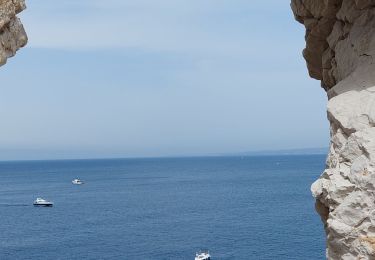 Tour Wandern Marseille - Archipel du Frioul, Marseille - Photo