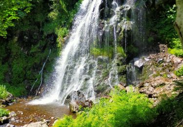 Excursión Senderismo Brezons - 5 cascades - Photo