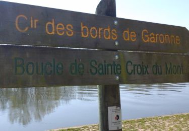 Trail On foot Saint-Maixant - Saint-Maixant : boucle locale - Photo