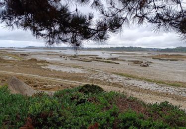 Tocht Stappen Lanmodez - Lanmodez le 09/10/24 - Photo