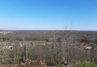 Tour Wandern Charleroi - Marcinelles 19 03 22 - Photo