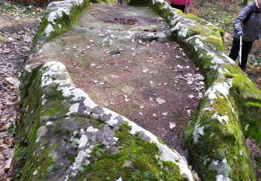 Excursión A pie Joncels - JONCELS-le Causse Froid-Pierre du Sacrifice - Photo