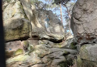 Tour Wandern Fontainebleau - 21/02/2020 - Photo