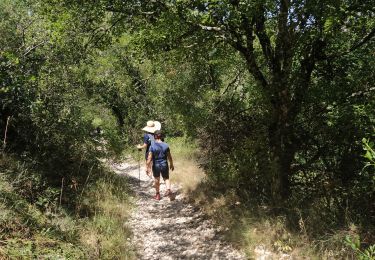 Trail Walking Vallon-Pont-d'Arc - Ardèche - Photo