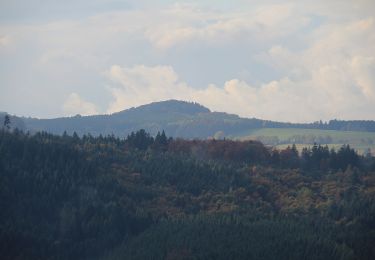 Tour Zu Fuß Hilders - Hilders Rundwanderweg 6 - Photo