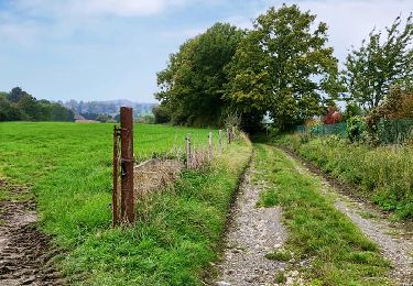 Tocht Stappen Fléron - Le vallon de la Julienne   - Photo