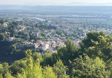 Tour Pfad Sainte-Tulle - La Réserve et le Clapier(14,5K 270D+) - Photo