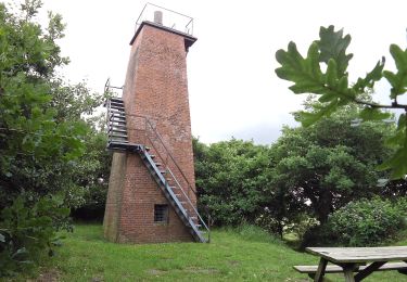 Randonnée A pied  - Sort Kløversti, Løgumkloster - Photo