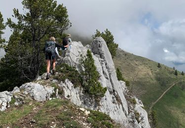 Randonnée Marche Aillon-le-Jeune - Mont Colombier par les rochers de la Bade et la sente de Rossanaz avec CAF Annecy -R3 - Photo