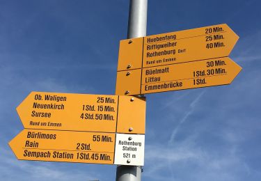 Randonnée A pied Rothenburg - Rothenburg Station - Neuenkirch - Photo