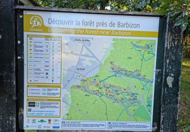 Trail Walking Fontainebleau - Fontainebleau sentier Denecourt 6 Est 6-6 - Photo