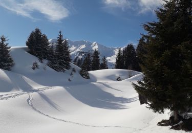 Tour Schneeschuhwandern Beaufort - Areches - Plan Villard - Photo