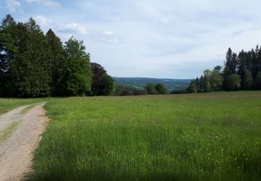 Tour Wandern Dreibrücken - Trois-Ponts - Photo