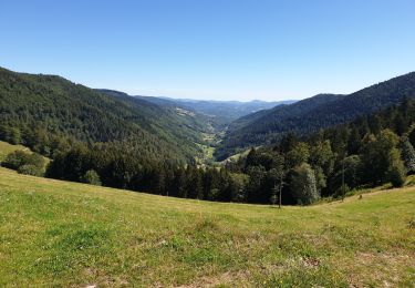 Tour Wandern Markirch - Col des Bagenelles et les deux Brézouard - Photo