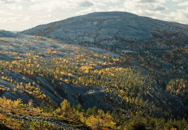 Tocht Te voet Pelkosenniemi - Noitatunturin valloitus (Summer hiking route) - Photo