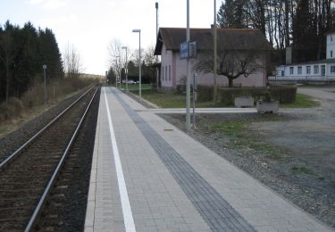 Percorso A piedi Sankt Johann in der Haide - St. Johann i.d. Haide - Unterlungitz Rundewanderweg - Photo