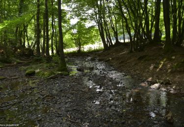 Tour Wandern Verviers - 20200709 - Stembert 8.3 Km - Photo