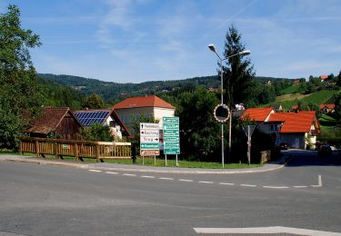 Tocht Te voet Stainz - Höllerhanslweg - Photo