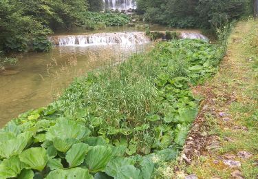 Percorso Marcia Nozeroy - Source de l'Ain 15.7.24 - Photo