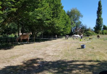 Trail Horseback riding Saint-Mars-Vieux-Maisons - Fusion des Parcours de Montcouvent à Fontenailles via Provins Ville Haute - Photo