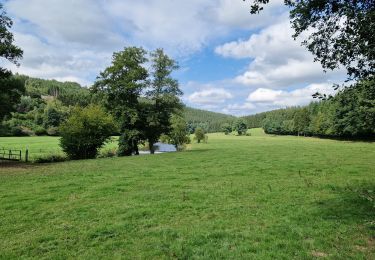 Tocht Stappen Waimes - Robertville - Stavelot - Photo