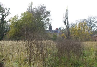 Tocht Te voet Wriezen - Grüner Strich - Photo