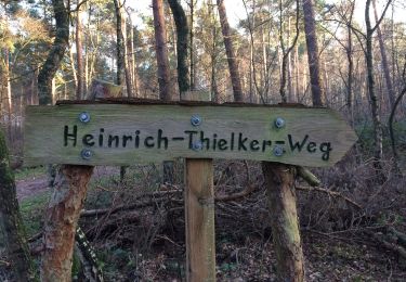 Tour Zu Fuß Kirchdorf - Rundweg Kirchdorfer Heide, Blau - Photo