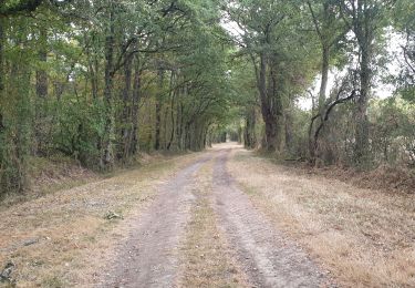 Trail Walking Gien - Arrabloy 45 22km - Photo