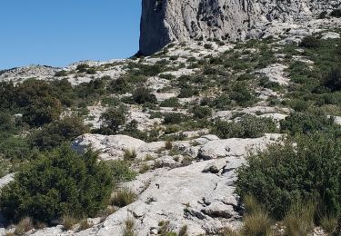 Trail Walking Gémenos - Sainte  baume pic de bertagne - Photo